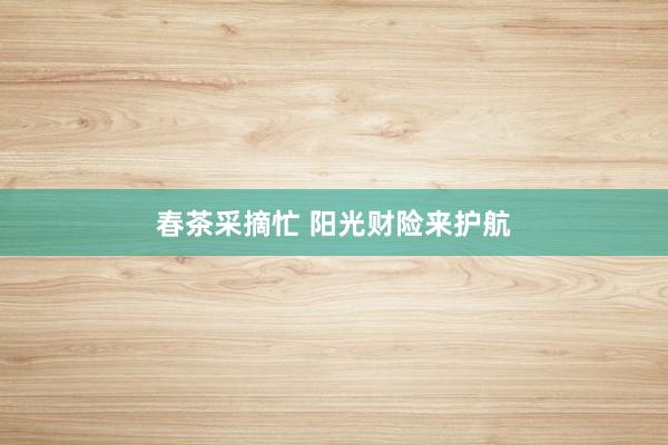 春茶采摘忙 阳光财险来护航