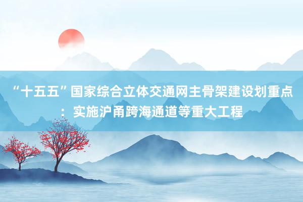 “十五五”国家综合立体交通网主骨架建设划重点：实施沪甬跨海通道等重大工程