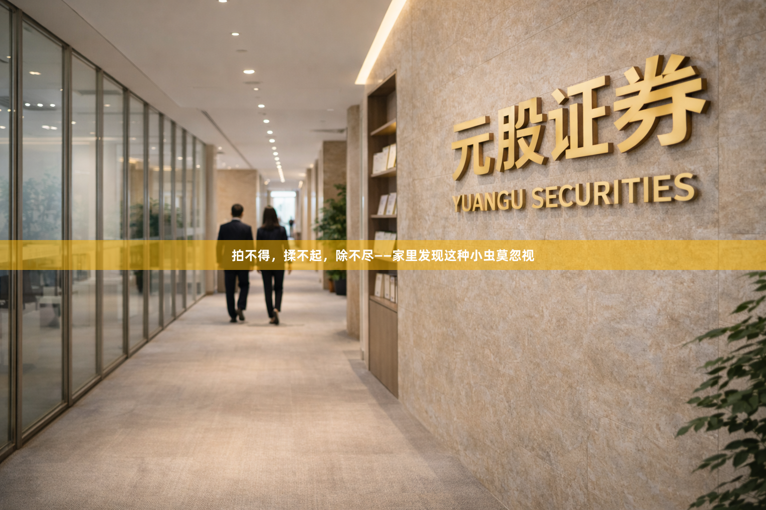 拍不得，揉不起，除不尽——家里发现这种小虫莫忽视