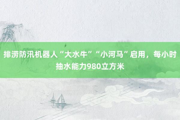 排涝防汛机器人“大水牛”“小河马”启用，每小时抽水能力980立方米