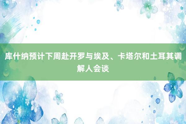 库什纳预计下周赴开罗与埃及、卡塔尔和土耳其调解人会谈