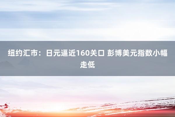 纽约汇市：日元逼近160关口 彭博美元指数小幅走低