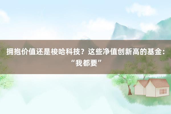 拥抱价值还是梭哈科技？这些净值创新高的基金：“我都要”