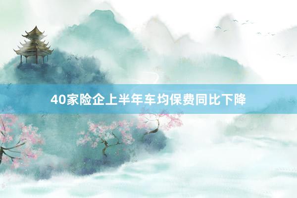 40家险企上半年车均保费同比下降