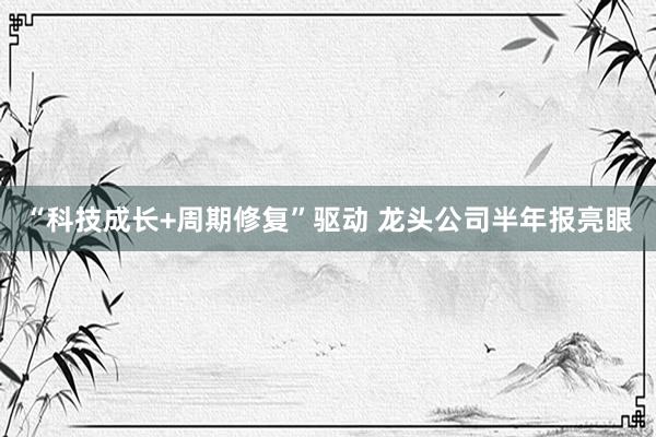 “科技成长+周期修复”驱动 龙头公司半年报亮眼