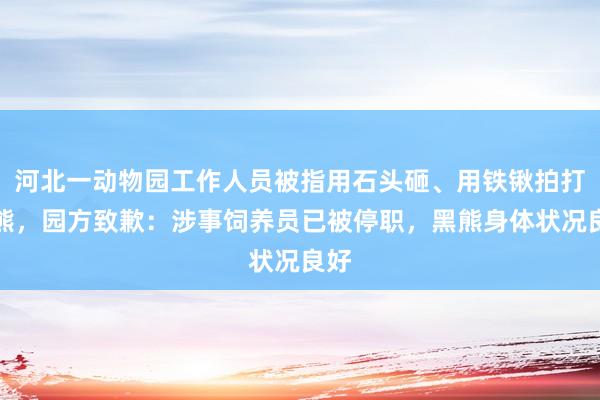 河北一动物园工作人员被指用石头砸、用铁锹拍打小熊，园方致歉：涉事饲养员已被停职，黑熊身体状况良好