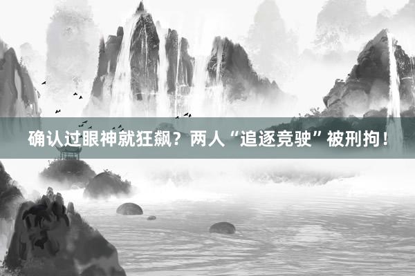 确认过眼神就狂飙？两人“追逐竞驶”被刑拘！