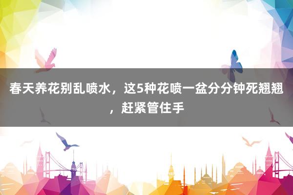 春天养花别乱喷水，这5种花喷一盆分分钟死翘翘，赶紧管住手