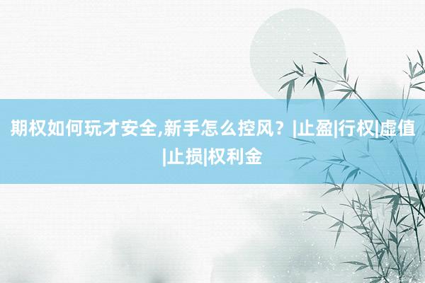 期权如何玩才安全,新手怎么控风？|止盈|行权|虚值|止损|权利金