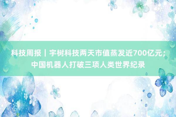 科技周报｜宇树科技两天市值蒸发近700亿元；中国机器人打破三项人类世界纪录