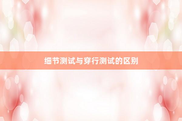 细节测试与穿行测试的区别