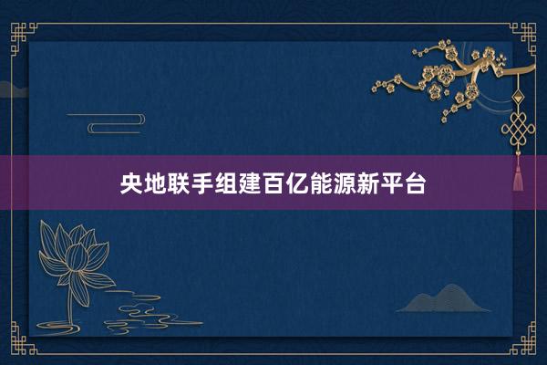 央地联手组建百亿能源新平台