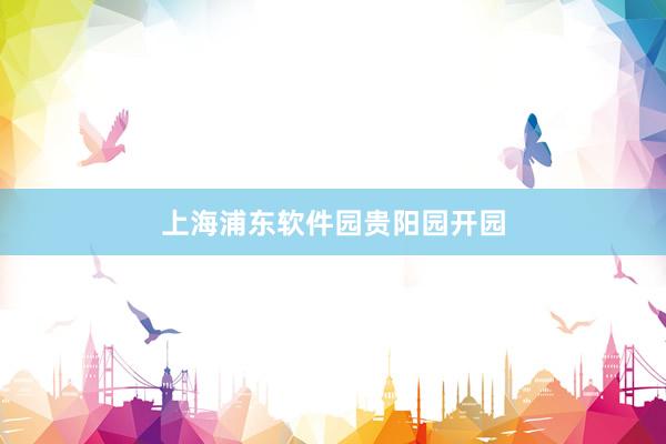 上海浦东软件园贵阳园开园