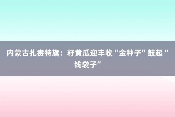 内蒙古扎赉特旗：籽黄瓜迎丰收“金种子”鼓起“钱袋子”
