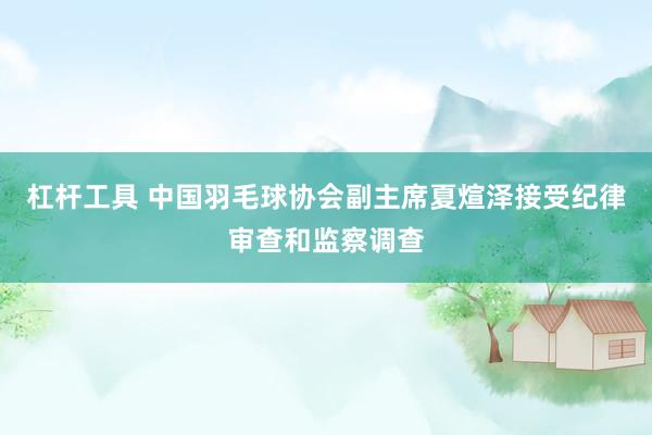 杠杆工具 中国羽毛球协会副主席夏煊泽接受纪律审查和监察调查