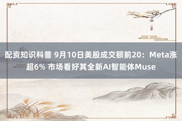 配资知识科普 9月10日美股成交额前20：Meta涨超6% 市场看好其全新AI智能体Muse