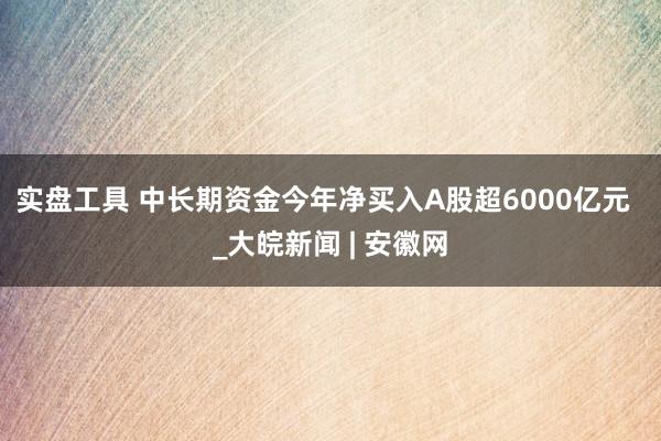 实盘工具 中长期资金今年净买入A股超6000亿元  _大皖新闻 | 安徽网