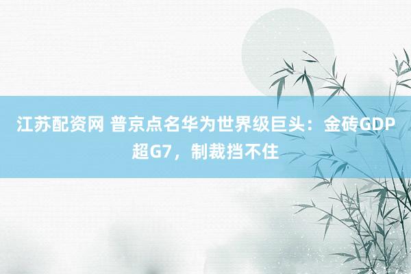江苏配资网 普京点名华为世界级巨头：金砖GDP超G7，制裁挡不住