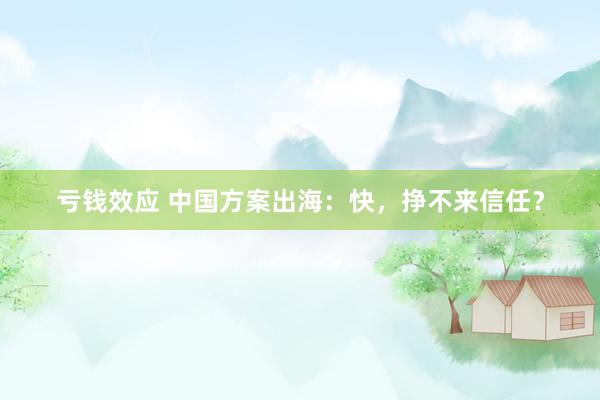 亏钱效应 中国方案出海：快，挣不来信任？
