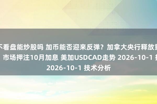 不看盘能炒股吗 加币能否迎来反弹？加拿大央行释放重要信号，市场押注10月加息 美加USDCAD走势 2026-10-1 技术分析