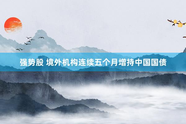 强势股 境外机构连续五个月增持中国国债