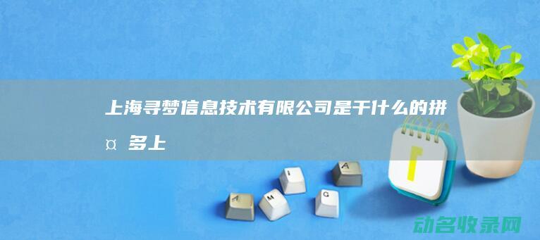 上海寻梦信息技术有限公司是干什么的 (拼多多上海寻梦技术有限公司)